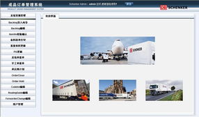 上海網站建設與設計 天照科技的專業服務方案